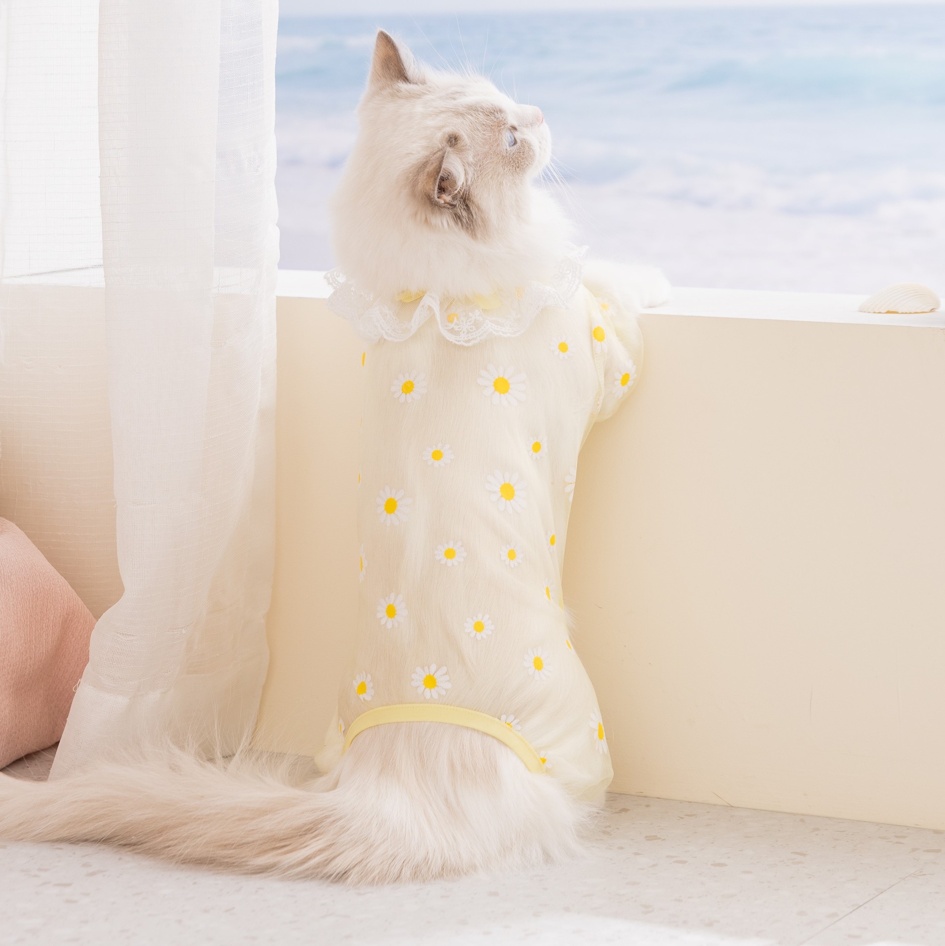 2Pcs Spring/Summer Mesh Hollow - Summer Clothing Wraps ulasan dan harga