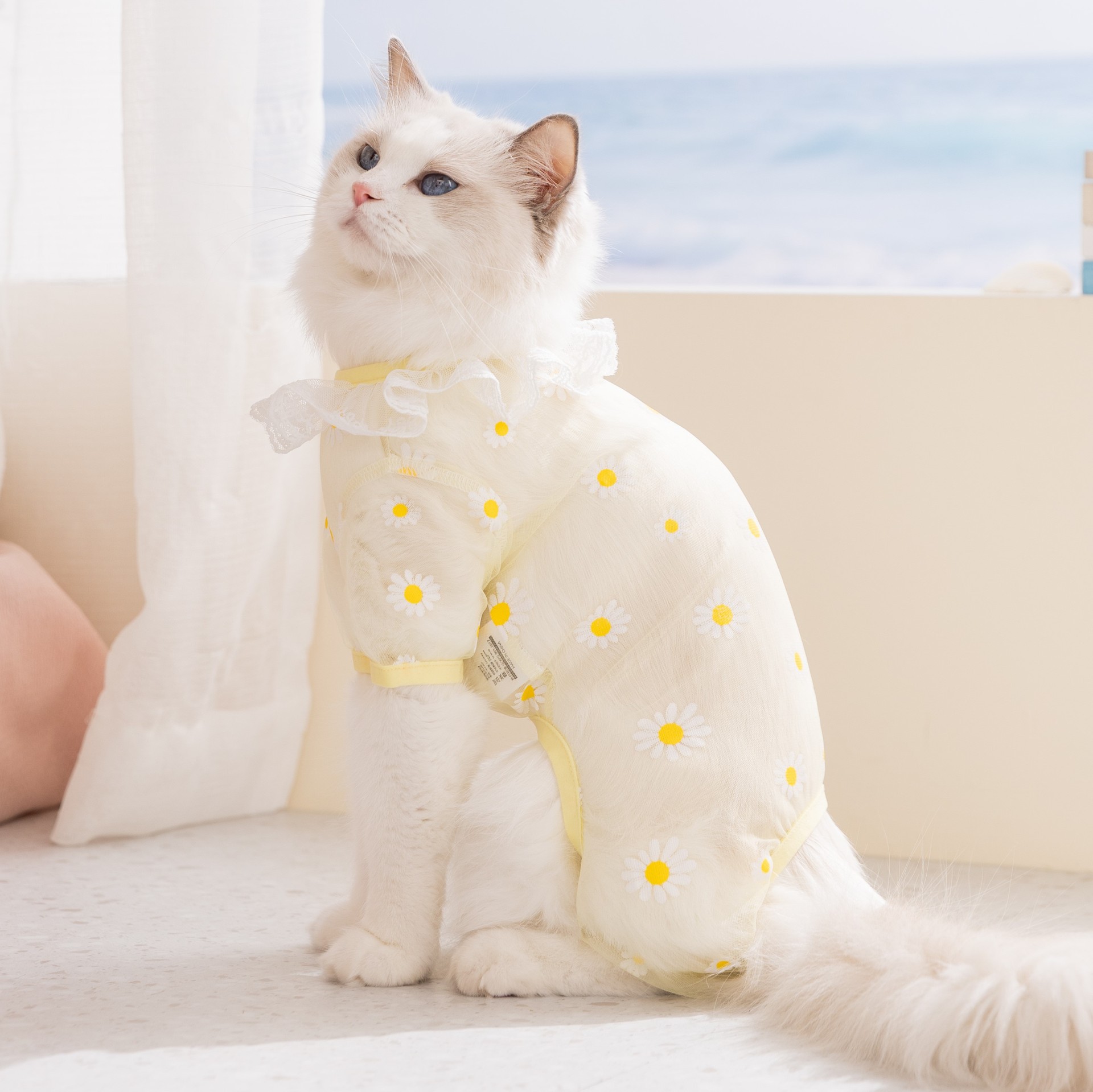 2Pcs Spring/Summer Mesh Hollow - Summer Clothing Wraps ulasan dan harga